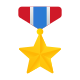 medal icon