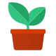 potted plant icon