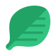 spinach icon